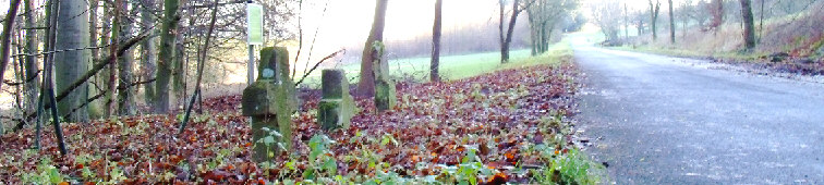 standort nemdener kirchweg