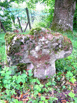 steinkreuz nestleinsberg