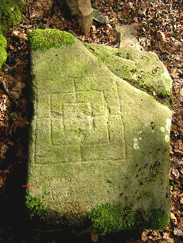 draufsicht bredenstein staatsforst fuerstenberg