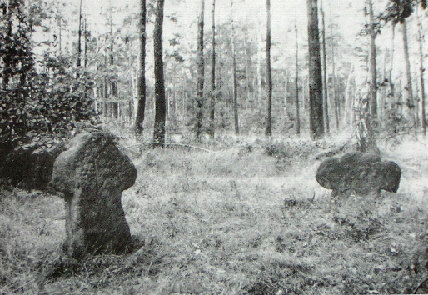 kopie lit. g. mueller-h. quietzsch 1977