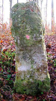 detail schmalseite waldecker stern