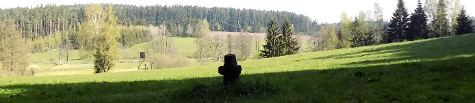 standort naberlwiesen blick nach nord 