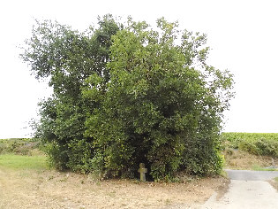 standort alter hoehenweg