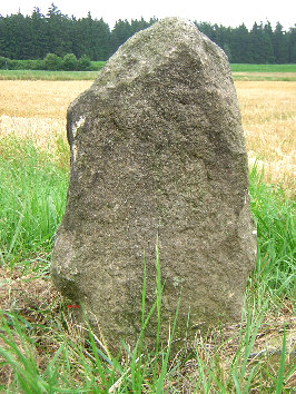 steinkreuz quellenreuth