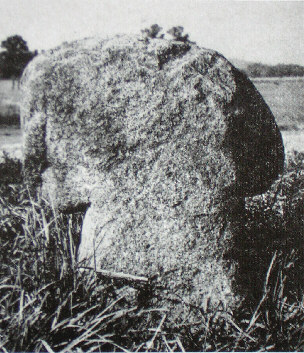 kopie lit. mueller-quietzsch 1977