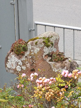 andere seite