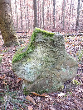 steinkreuz rastenberg