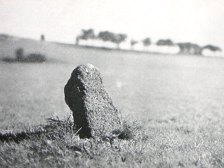 kopie lit. kuhfahl 1928