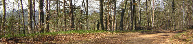 standort hoehenweg reinsberge blick nach suedwest