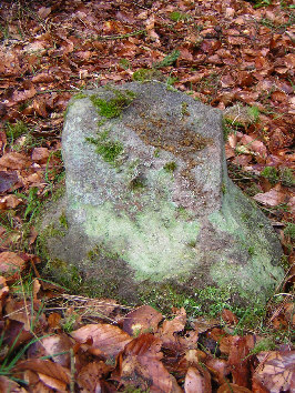 studentenstein 