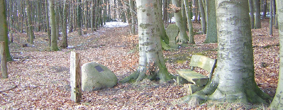 standort hoyeler kirchweg