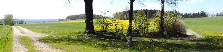 standort fuhrweg blick nach suedwest