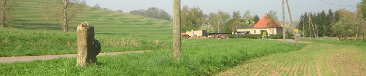 standort blick nach rossendorf