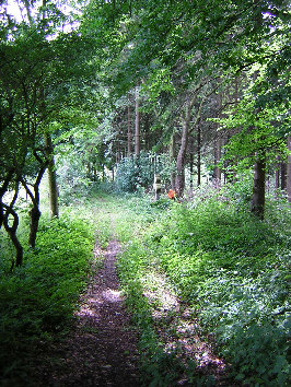 standort alter kirchweg himmighausen