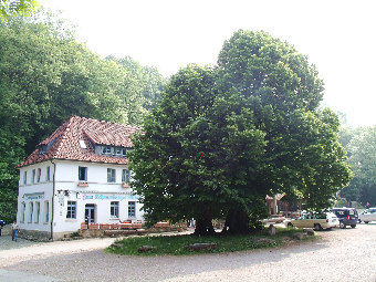 gerichtsstaette schaumburg