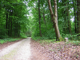 standort neunheilingener weg