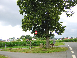 standort alte strasse