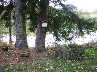 standort allenbachteich blick nach west