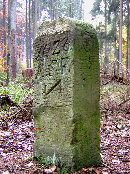 beckerstein springe