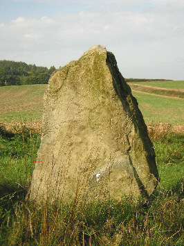 schaeferstein stemmen