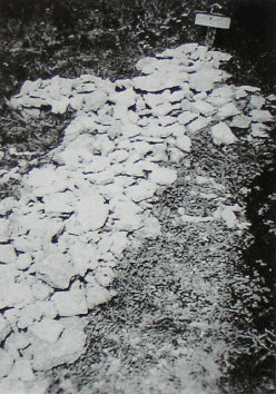 kopie lit. f. stoerzner c 1935