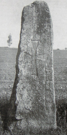 kopie lit. g. mueller-h. quietzsch 1977