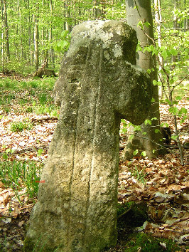 steinkreuz tautenburg 