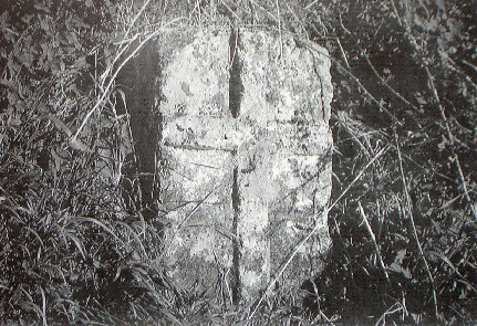 kopie lit. u. streng 1987