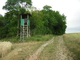 standort hochstand 