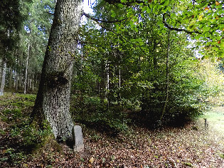 standort mordfleck blick von west