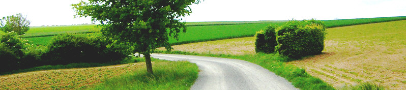 standort alte wuerzburger strasse