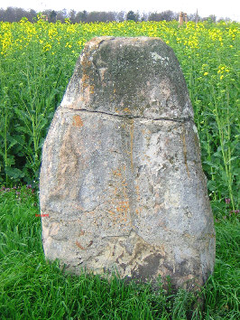 brotstein wasserleben 