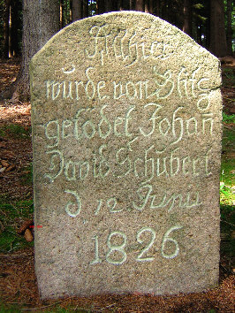 schubert-stein steinberg