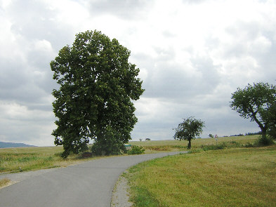 standort blickrichtung osten