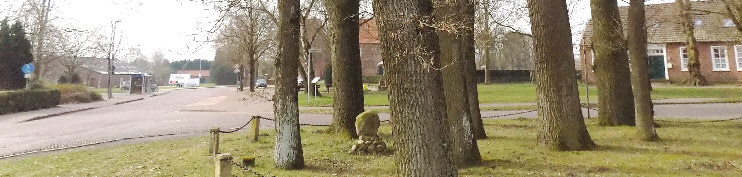 standort bei den 13 eichen wiesens