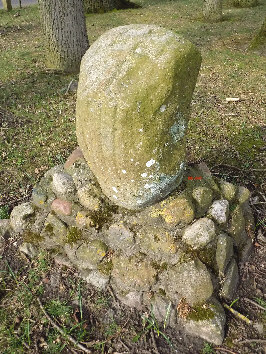 tjede-stein wiesens