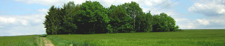 standort wolfershausen riesenstein