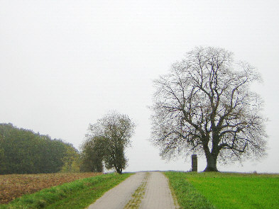 blickrichtung osten andachtsmal 