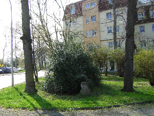 standort lindenplatz